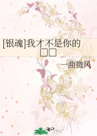 [银魂]我才不是你的□□