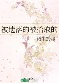 被遗落的被拾取的