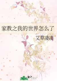 家教之我的世界怎么了