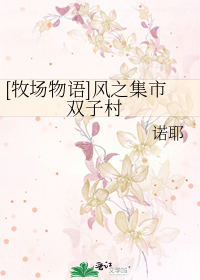 [牧场物语]风之集市 双子村