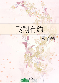 飞翔有约