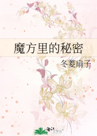 魔方里的秘密