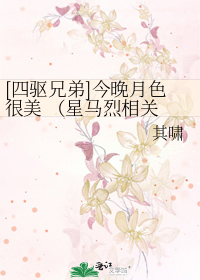 [四驱兄弟]今晚月色很美 （星马烈相关 《尘埃模样》补完篇）