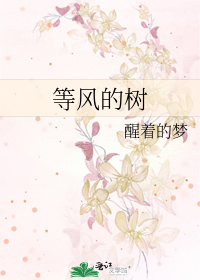 玄幻小说无弹窗