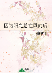 因为阳光总在风雨后