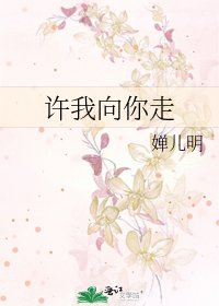 许我向你走