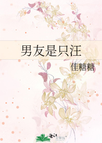 男友是只汪