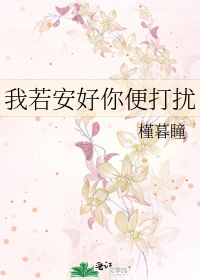 我若安好你便打扰