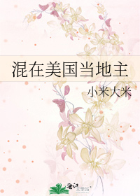 混在美国当地主