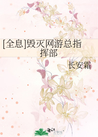 [全息]毁灭网游总指挥部