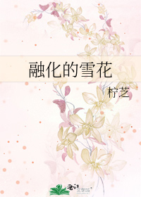 融化的雪花