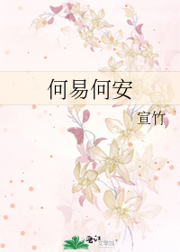 何易何安