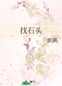 找石头