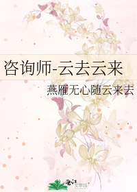 咨询师-云去云来