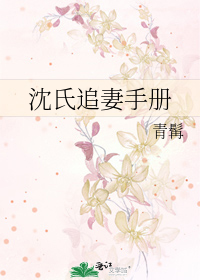 沈氏追妻手册