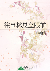 往事林总立眼前