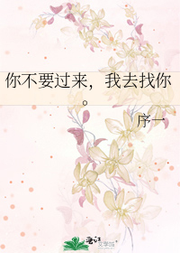 你不要过来，我去找你。