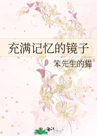 充满记忆的镜子