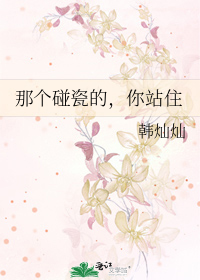 那个碰瓷的，你站住
