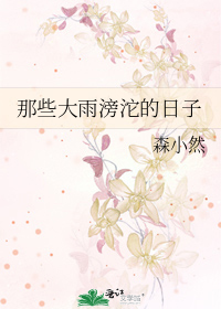 那些大雨滂沱的日子