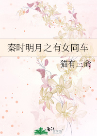 秦时明月之有女同车