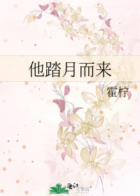 他踏月而来