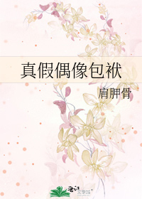 真假偶像包袱