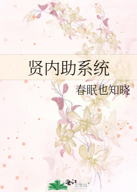 贤内助系统