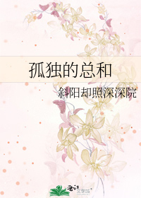 孤独的总和