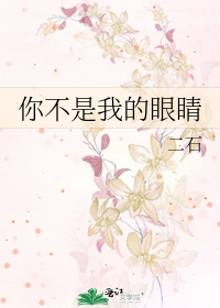 你不是我的眼睛