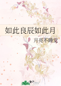 如此良辰如此月