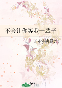 不会让你等我一辈子