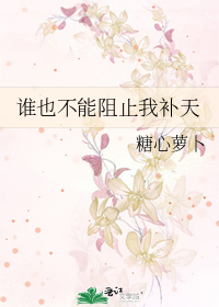 谁也不能阻止我补天