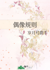 偶像规则