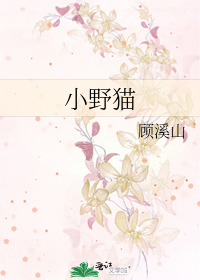 小野猫