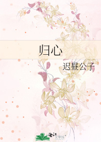 归心