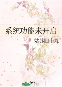 系统功能未开启