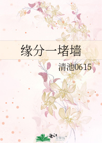 缘分一堵墙