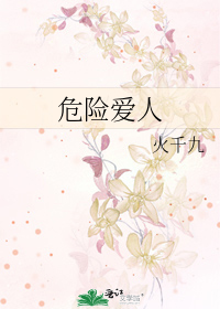 危险爱人