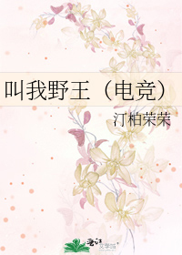 叫我野王（电竞）