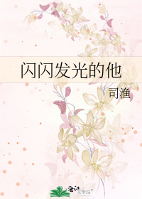 闪闪发光的他