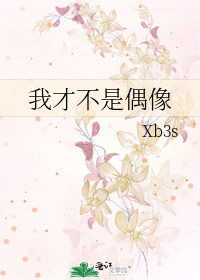 我才不是偶像