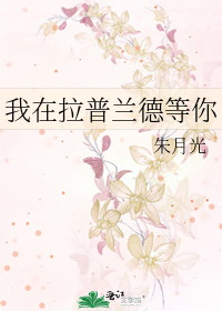 我在拉普兰德等你