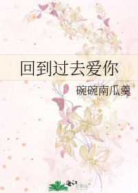 回到过去爱你