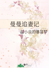 曼曼追妻记