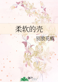 柔软的壳
