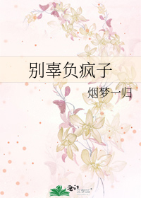 别辜负疯子