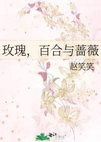 玫瑰 百合与蔷薇 赵笑笑 原创小说 言情小说 晋江文学城