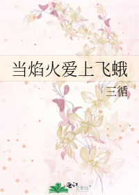 当焰火爱上飞蛾