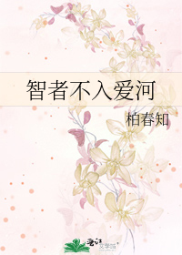 智者不入爱河